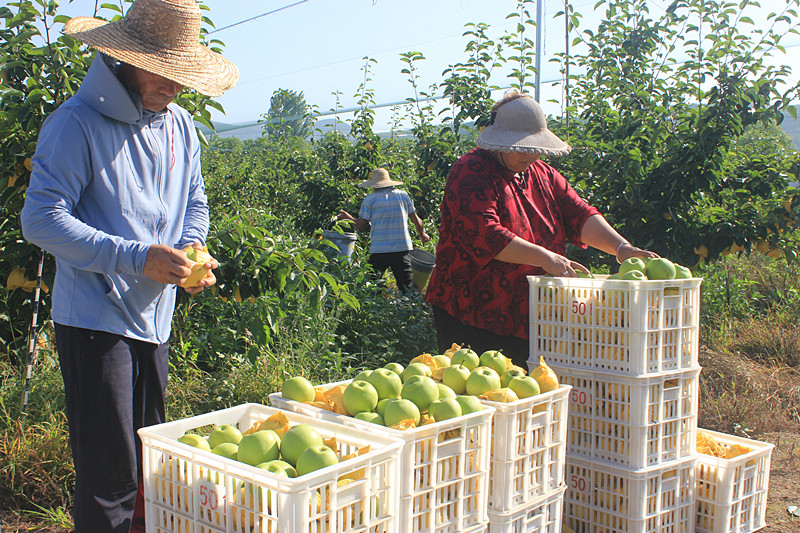 ��óԣ����Ѕ^(q��)ǰ�����@�����@������������