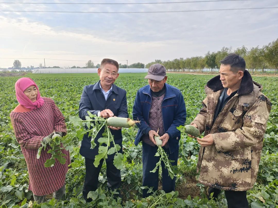 ������L�r�������f(xi��)ί�T��ֱ������ɳ�������}�����պ���ζ